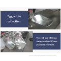 Large Scale Egg Yolk Egg White Separator
